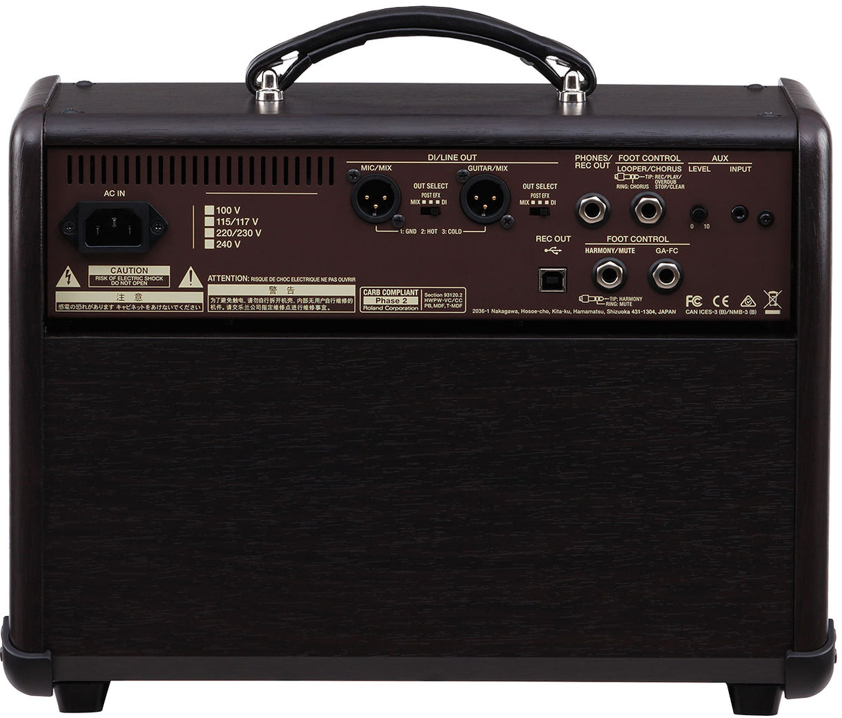 The image shows the back panel of a guitar amplifier featuring a power input with voltage selectors (100V, 115/117V, 220/230V, 240V), XLR outputs for DI/Line Out and Guitar/Mix, control jacks for headphones, foot control, and auxiliary input, recording outputs with level controls, a carry handle, ventilation grilles, and safety labels. It is a professional or semi-pro amp suited for live and recording use, designed for international touring.
