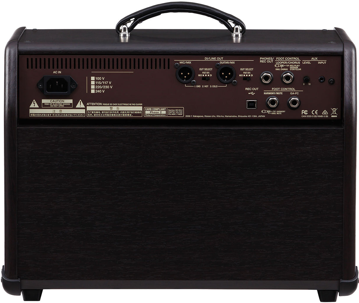 The image shows the back panel of a guitar amplifier featuring an AC power input with voltage selectors, various audio connections (DI/Line Out, XLR with ground lift, REC OUT, AUX IN), foot control ports, safety labels and certifications (FCC, CE), ventilation slots, and rugged construction with black tolex, metal corners, and a leather handle. It is a professional amp with global voltage settings for live and recording use.