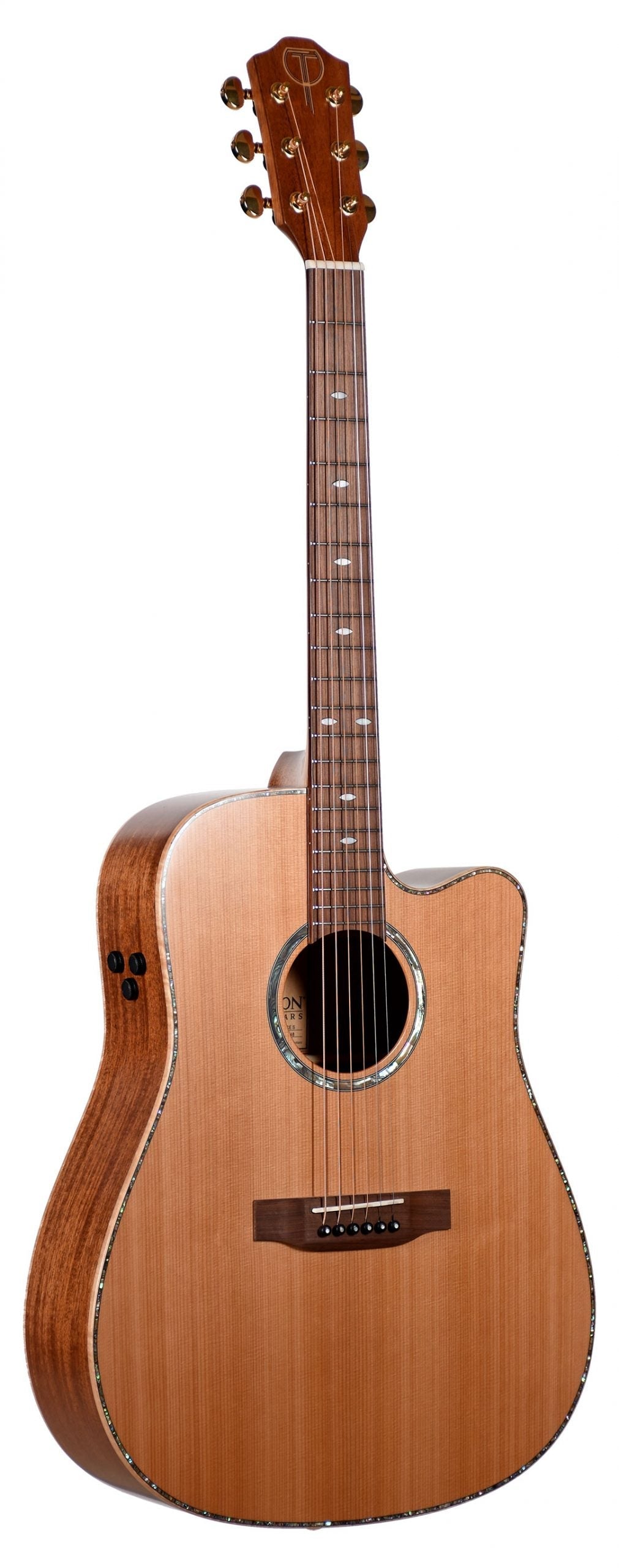 The image shows an acoustic-electric guitar with a cutaway body, natural light wood top, darker back and sides, and dreadnought shape. It features six strings, tuning pegs, fretboard inlays, a decorative sound hole rosette, and built-in electronics with control knobs. The cutaway allows easy access to higher frets, making it ideal for both acoustic play and amplified performance.