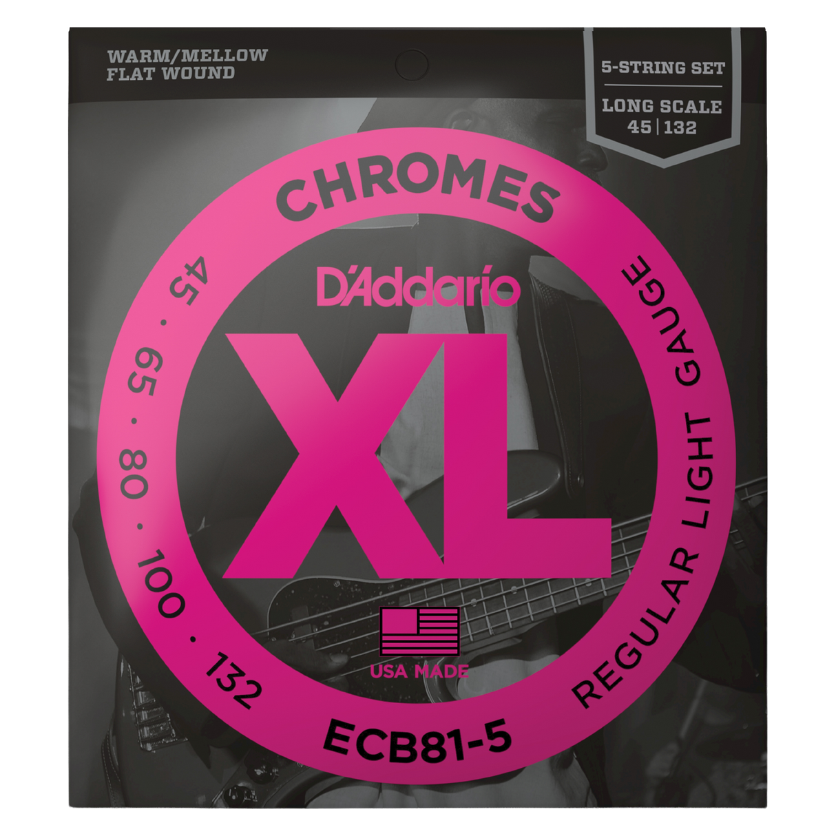 Packaging for D'Addario ECB81-5 bass guitar strings with brand details