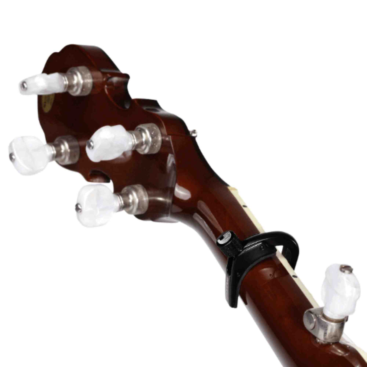 The image shows a close-up of the carved wooden headstock (scroll) of a violin-family string instrument with a dark reddish-brown varnished finish. It features four ebony tuning pegs with white tips, metal tuning mechanisms, and a portion of the fingerboard. The curved scroll design and fine craftsmanship suggest a well-made acoustic instrument used to adjust string tension and pitch.