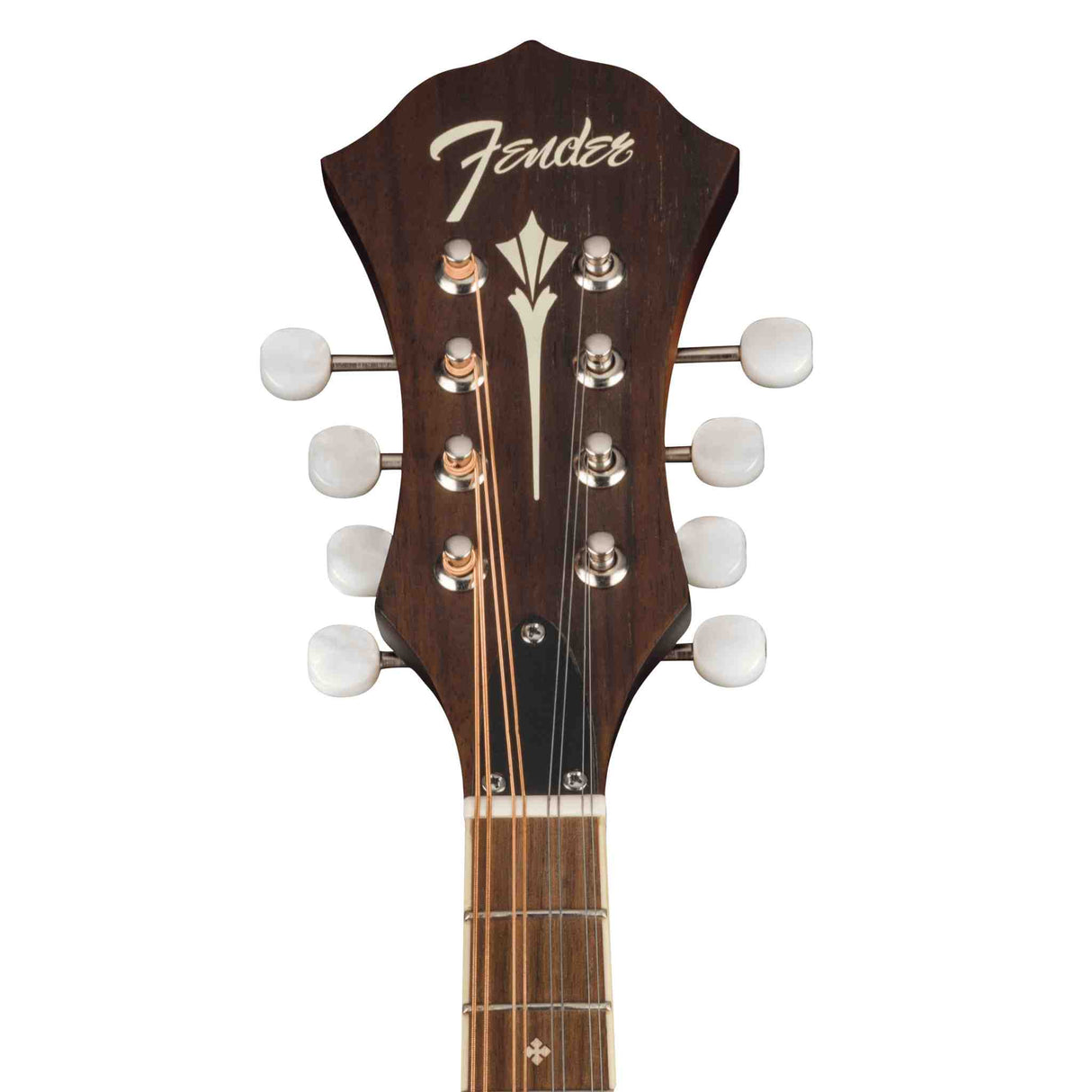 Fender Mandolin headstock with brand logo on a white background