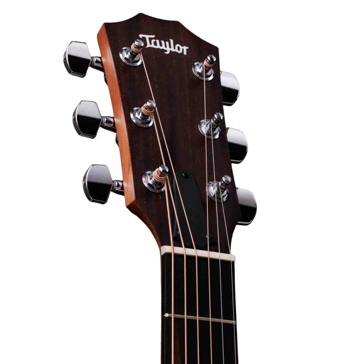 Taylor Academy 22e - Acoustic Electric Guitar with Gig Bag - Walnut Top