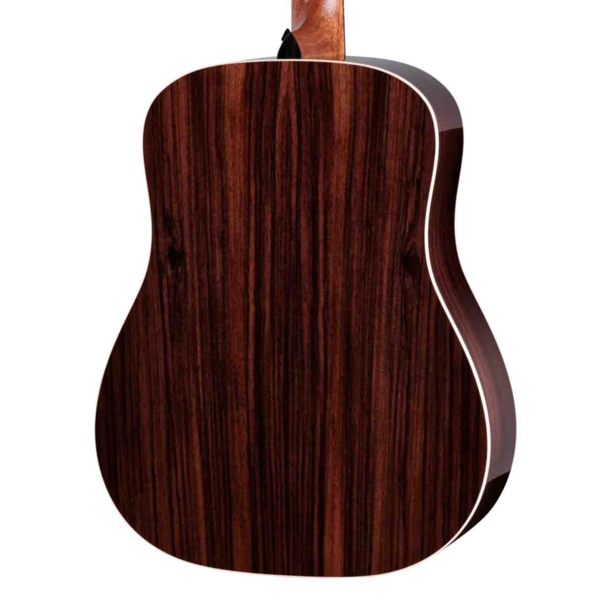 Taylor Gold Label 710e - Acoustic Electric Guitar with Hardshell Case - Sitka Spruce Top