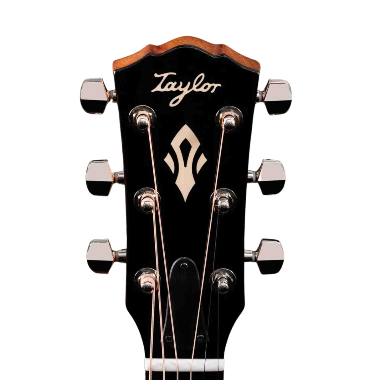 Taylor Gold Label 710e - Acoustic Electric Guitar with Hardshell Case - Sitka Spruce Top