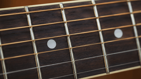 Guitar Fret