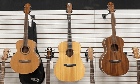 Willow Tonewood in Acoustic Guitars: What Makes It Different?