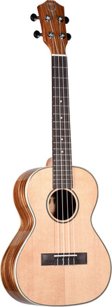The image shows a well-crafted tenor or concert ukulele with a light-colored wood top and darker, striped back and sides. It features a reddish-brown neck, dark fretboard with white markers, and a round sound hole with decorative rosette. The instrument has chrome tuning pegs, a cream nut, and four nylon strings. Its classic shape and quality materials suggest it is an intermediate to advanced model.