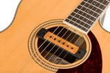 The image shows a close-up of an acoustic-electric guitar focusing on the soundhole and part of the fretboard. It features a natural wood finish, a circular rosette with dotted inlay, a wooden-colored humbucker pickup in the soundhole, a dark wood fretboard with visible frets, a reddish-brown tortoiseshell pickguard, and steel strings running over the pickup and neck.