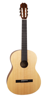 The image shows a full-size classical acoustic guitar with a light wooden body and a circular sound hole featuring decorative rosette rings. It has a black bridge, a long neck with a dark fretboard and visible fret markers, and a traditional headstock with six classical-style tuning pegs. Six nylon or steel strings run from the bridge to the tuners. The guitar has a natural wood finish and appears well-maintained.