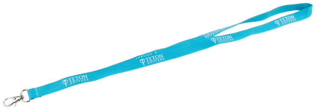 The image shows a bright turquoise Teton Guitars promotional lanyard with white "TETON GUITARS" text repeated along its length. It has a metal clip attachment, commonly used for holding ID badges or keys. This branded accessory is a music industry promotional item likely distributed at trade shows or events to promote Teton Guitars, appealing to guitar enthusiasts and music professionals.