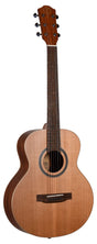 The image shows a steel-string acoustic guitar with a natural wood finish featuring a light top and darker back and sides. It has a dark wooden neck and fretboard with white dot markers, six steel strings, a decorative rosette around the sound hole, chrome tuning pegs, and white bridge pins. The headstock and sound hole display branding. The guitar has a traditional dreadnought shape, suitable for various musical styles.