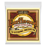 Ernie Ball Earthwood acoustic guitar strings packaging on a white background