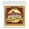 A package of Ernie Ball Earthwood guitar strings on a transparent background