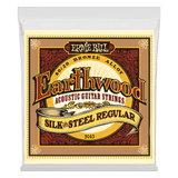 A package of Ernie Ball Earthwood guitar strings on a transparent background