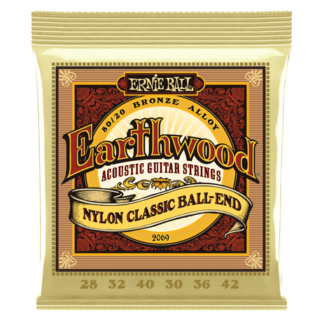 Ernie Ball Earthwood acoustic guitar strings packaging on a white background