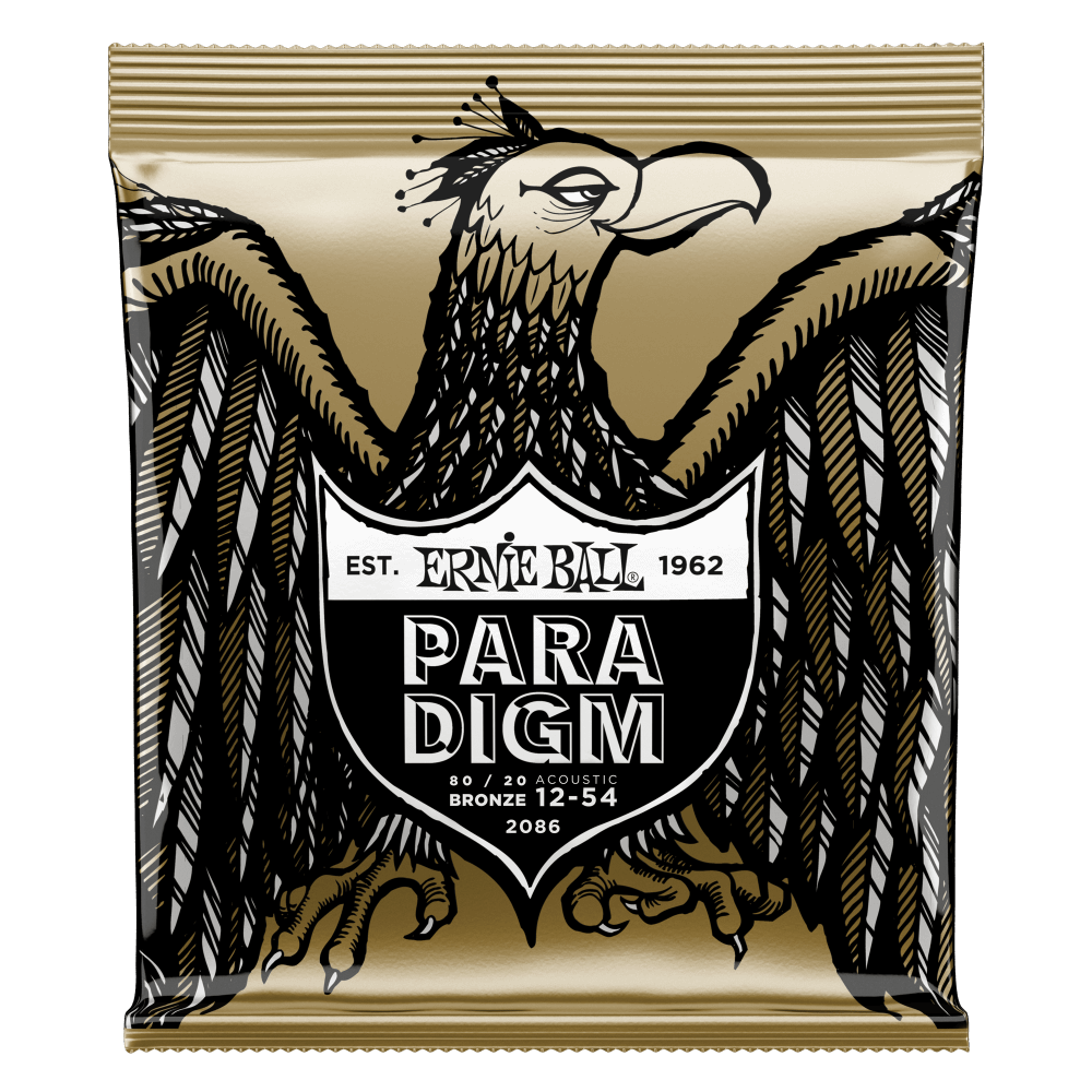 Ernie Ball Paradigm guitar string package with an eagle illustration on a black background