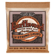Ernie Ball Earthwood acoustic guitar strings packaging on a black background