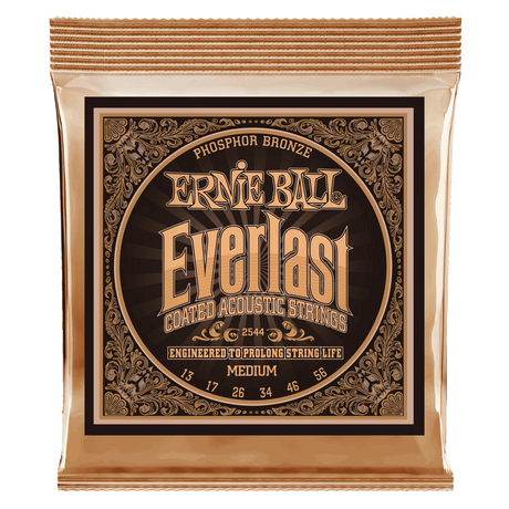 A gold package of Ernie Ball guitar strings with Everlast branding on a white background