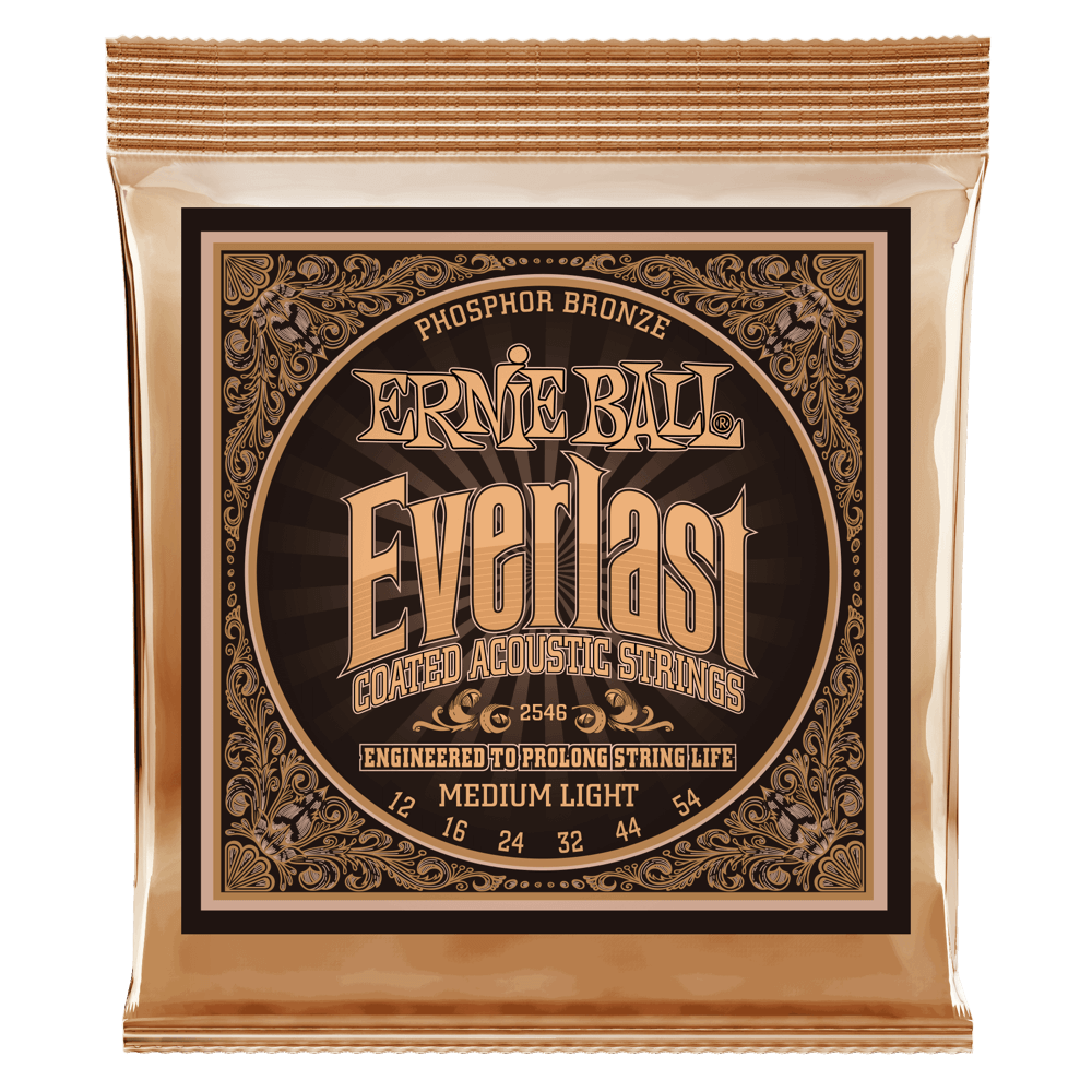 A gold package of Ernie Ball guitar strings with Everlast branding on a white background