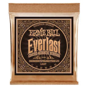 A gold package of Ernie Ball acoustic guitar strings with Everlast branding on a white background