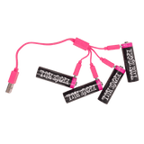 Ernie Ball USB-C rechargeable AA batteries with USB-C cable connected