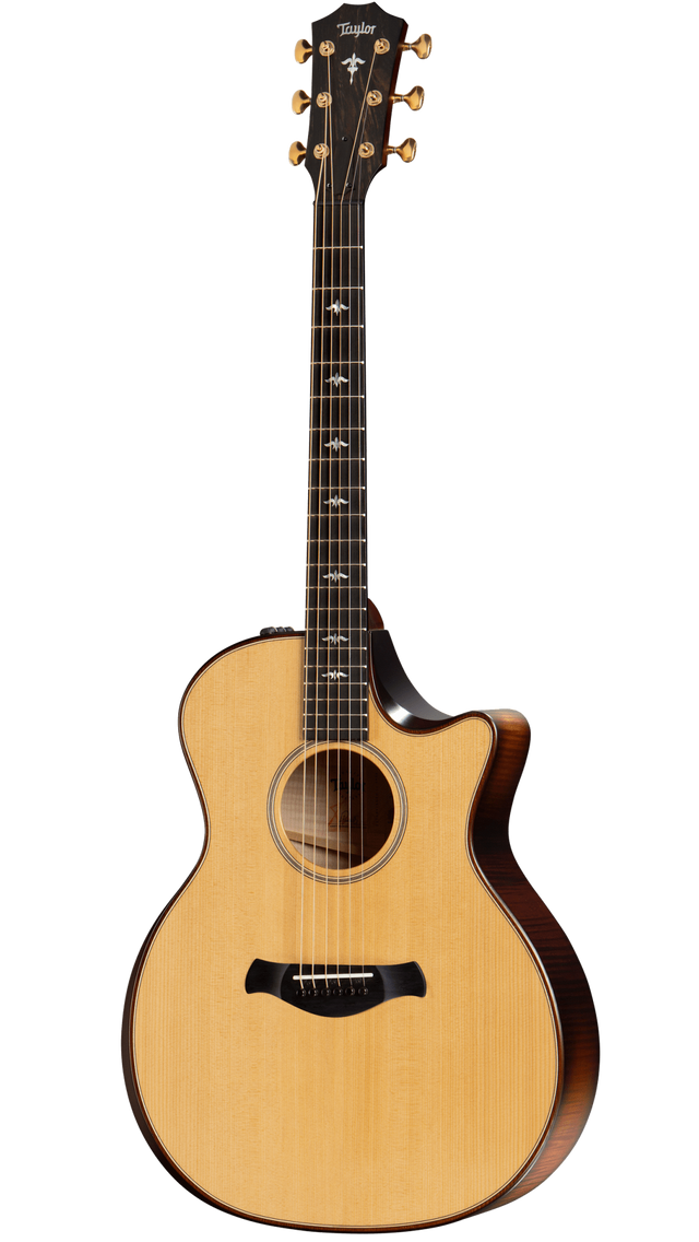 The image shows a beautiful Taylor acoustic guitar with a single cutaway and natural wood finish. It features six strings, gold tuning pegs, decorative bird inlays on the fretboard, and Taylor’s logo on the headstock. The guitar has a black pickguard and appears to be a Grand Auditorium body style, showcasing professional-grade craftsmanship typical of Taylor’s high-end models.