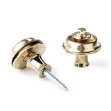 A pair of guitar straplocks with a brass finish on a white background