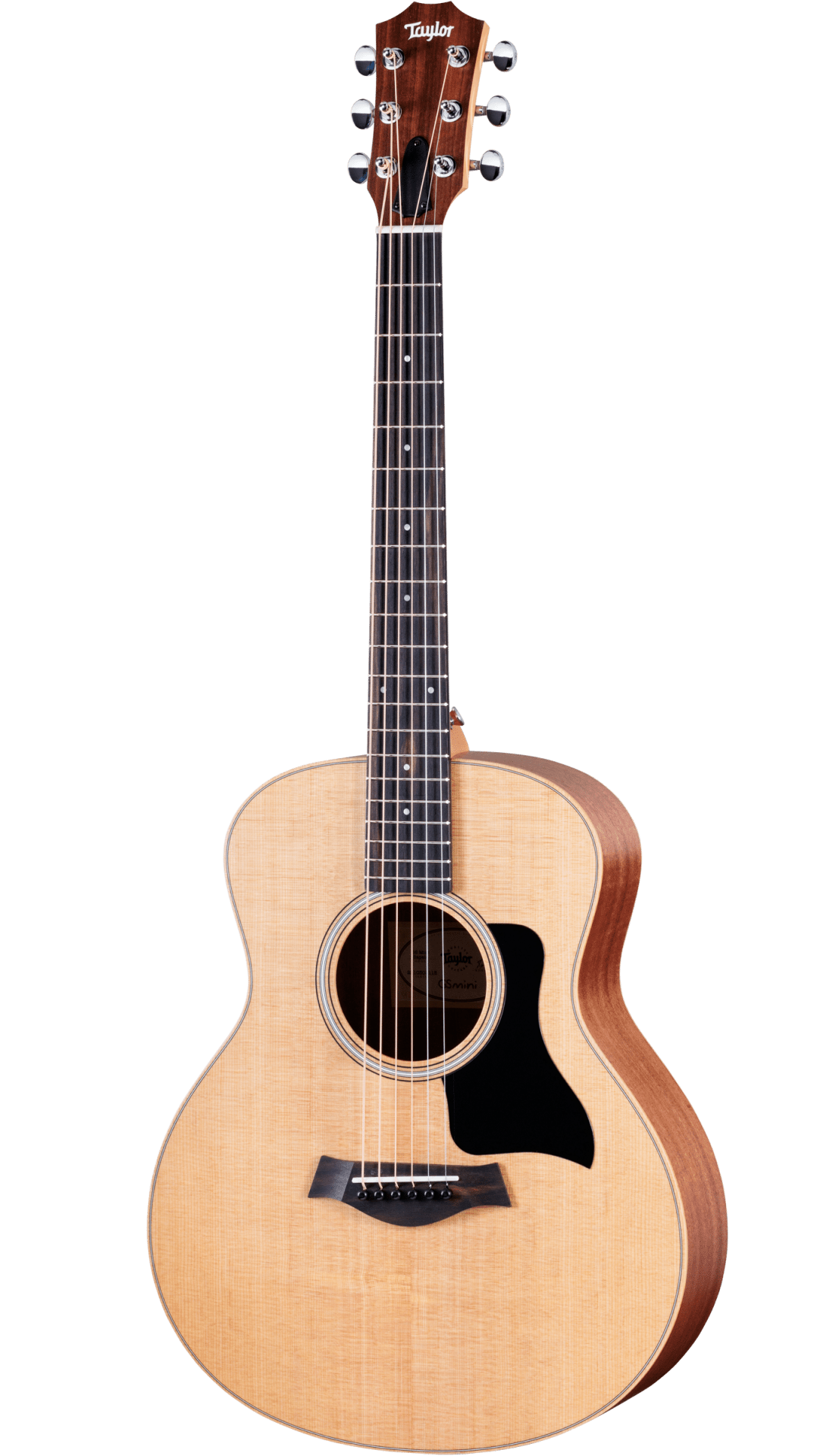 The image shows a Taylor steel-string acoustic guitar with a natural spruce or cedar top and darker mahogany or sapele back and sides. It features a mid-sized Grand Auditorium body, chrome tuning machines, a dark wood bridge with a compensated saddle, a round soundhole with a rosette, and a black pickguard. The natural finish highlights the wood grain, reflecting Taylor’s quality craftsmanship and versatile playability.