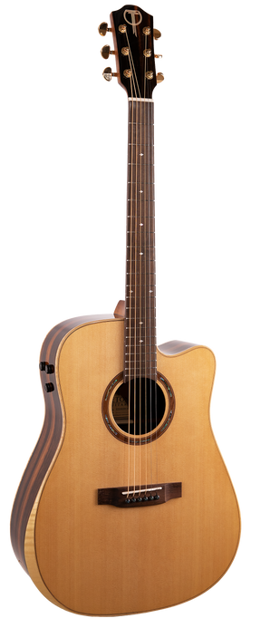 The image shows a dreadnought-style acoustic-electric guitar with a cutaway, natural light wood top, darker binding, and a round soundhole with rosette. It has six steel strings, chrome tuning machines, and a dark wood fretboard with standard inlays. An onboard preamp is visible on the upper bout. The "T" logo on the headstock indicates it is likely a Teton guitar.