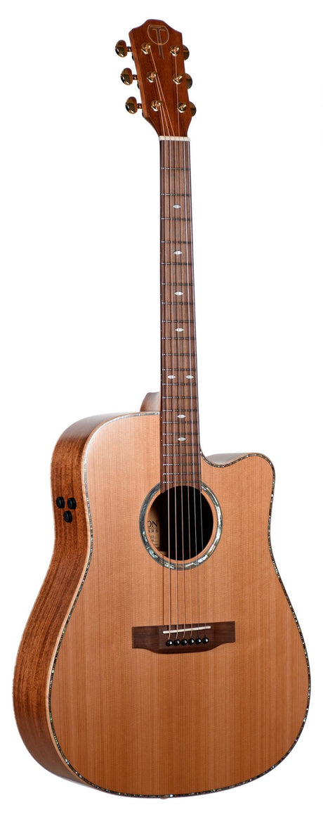 The image shows an acoustic-electric guitar with a cutaway body, natural light wood top, darker back and sides, and dreadnought shape. It features six strings, tuning pegs, fretboard inlays, a decorative sound hole rosette, and built-in electronics with control knobs. The cutaway allows easy access to higher frets, making it ideal for both acoustic play and amplified performance.