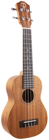 The image shows a ukulele, a small four-stringed wooden instrument from the guitar family, often linked to Hawaiian music. Visible are the body, neck, fretboard, and headstock with tuning pegs. The wood grain and tuning keys are clearly shown, highlighting its features as a stringed musical instrument.