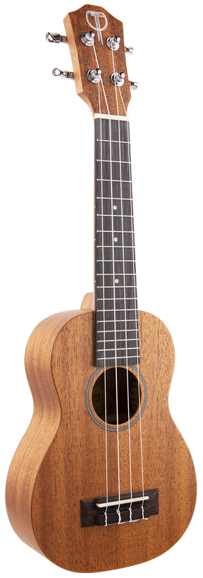 The image shows a ukulele, a small four-stringed wooden instrument from the guitar family, often linked to Hawaiian music. Visible are the body, neck, fretboard, and headstock with tuning pegs. The wood grain and tuning keys are clearly shown, highlighting its features as a stringed musical instrument.