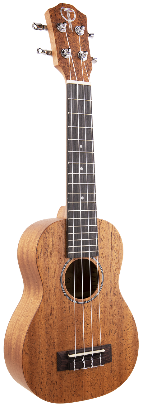 The image shows a ukulele, a small four-stringed wooden instrument from the guitar family, often linked to Hawaiian music. Visible are the body, neck, fretboard, and headstock with tuning pegs. The wood grain and tuning keys are clearly shown, highlighting its features as a stringed musical instrument.