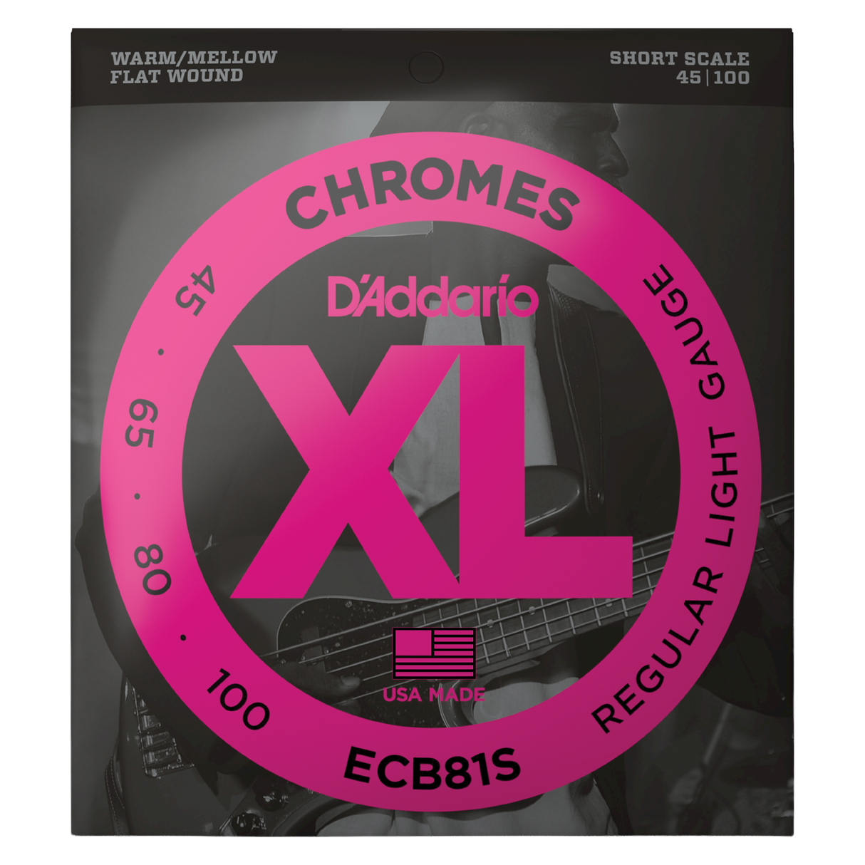 Packaging for D'Addario ECB81S bass strings with brand details