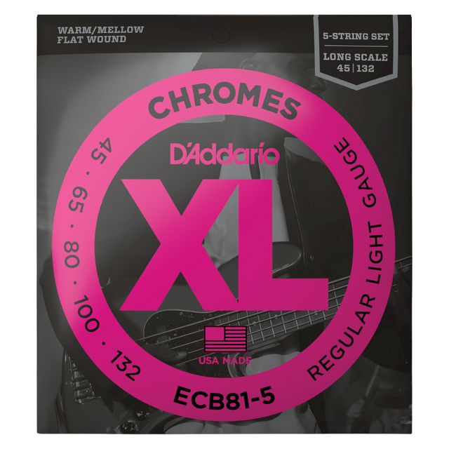 Packaging for D'Addario ECB81-5 bass guitar strings with brand details