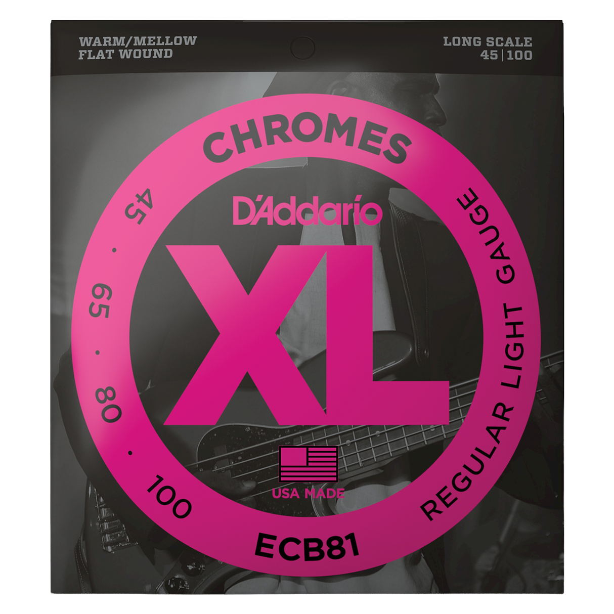 Packaging for D'Addario ECB81 bass guitar strings with brand details