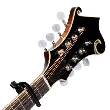 The image shows the headstock of a mandolin, a lute-family string instrument. It features a curved, ornate design with cream binding, 8 tuning pegs (4 per side) for its 4 pairs of strings, and multiple strings running down the neck. A black capo is attached. Mandolins are tuned like violins (G-D-A-E), popular in bluegrass, folk, classical, and world music for their rich, doubled-string sound.
