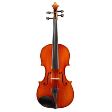 The image shows a violin with a warm amber finish highlighting its natural wood grain. It features the classic figure-8 hollow body with f-holes, four strings from tailpiece to scroll, a dark ebony fingerboard, four tuning pegs, a bridge between the f-holes, and a carved scroll at the top. The violin is photographed against a white background, suggesting a student or intermediate instrument made from traditional tonewoods.