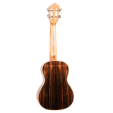 The backside of a ukulele with dark wood on a white background