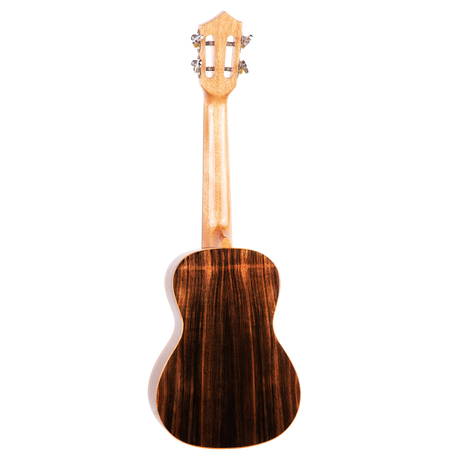 The backside of a ukulele with dark wood on a white background