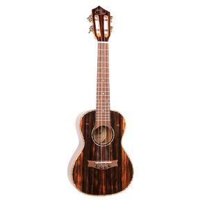 A ukulele with dark wood and Eddy Finn branding on a white background