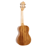 The backside of a ukulele with light colored wood on a white background