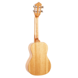 The backside of a ukulele with light colored wood on a white background