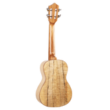 The backside of a ukulele with light colored wood and figuring on a white background