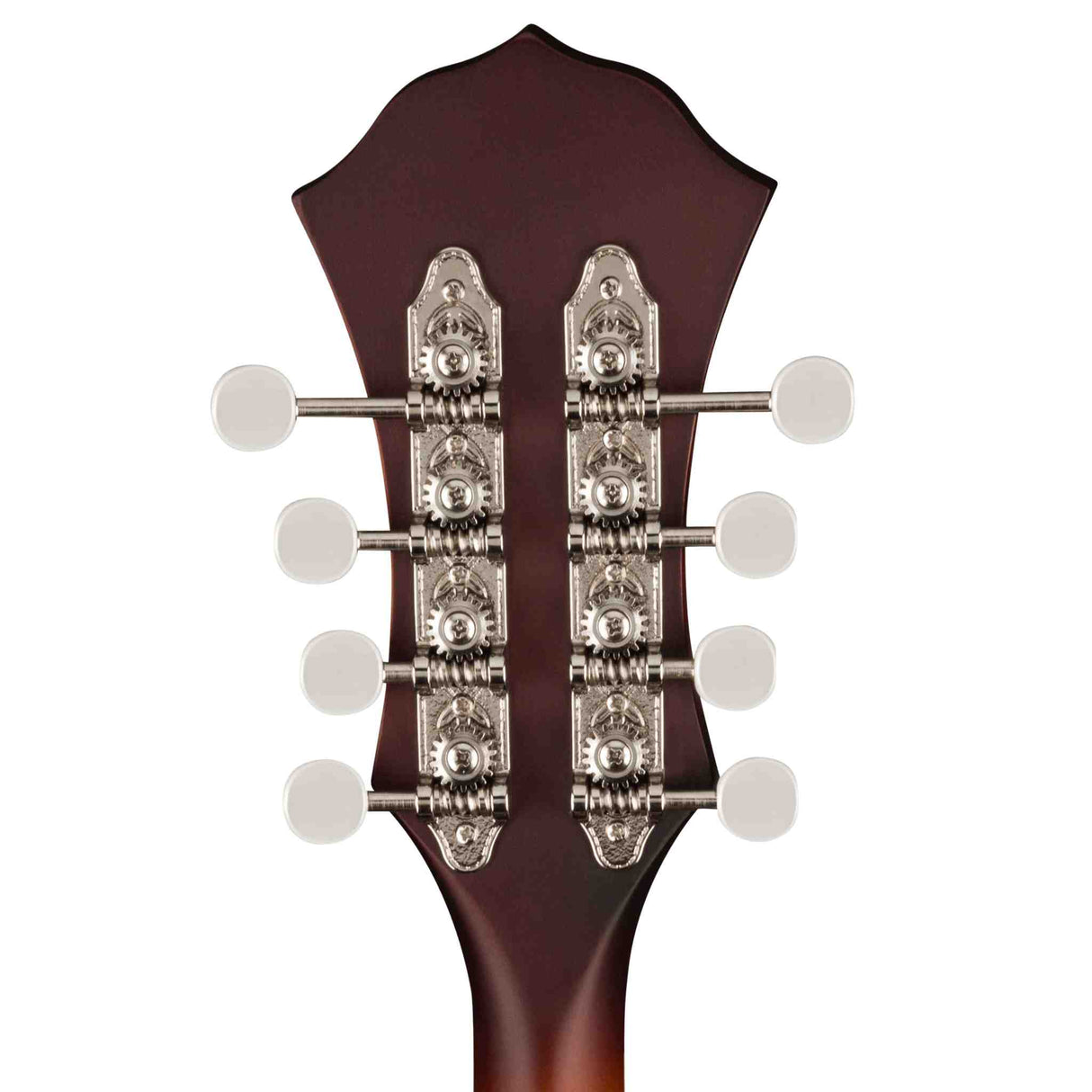 Close-up of the back of a fender PM-180E Mandolin headstock with tuning pegs on a white background