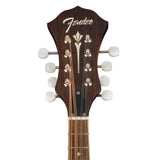 Fender Mandolin headstock with brand logo on a white background