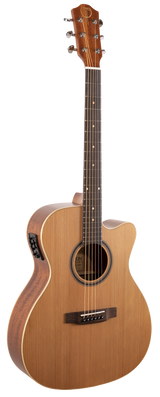 The image shows an acoustic-electric cutaway guitar with a natural light wood top and darker back and sides. It features built-in electronics with a side preamp, chrome tuning pegs, a dark wood bridge, a round sound hole with a decorative rosette, and a dark fretboard with position markers. The headstock displays a logo or inlay. This guitar suits players needing both acoustic tone and amplification.