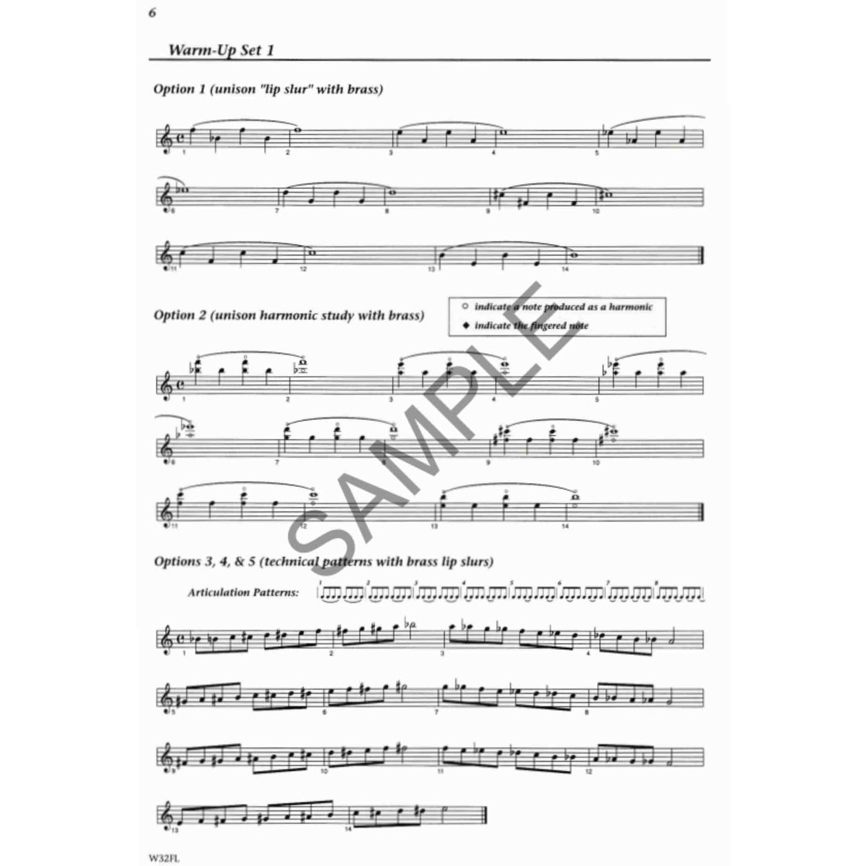 Foundations For Superior Performance - Flute