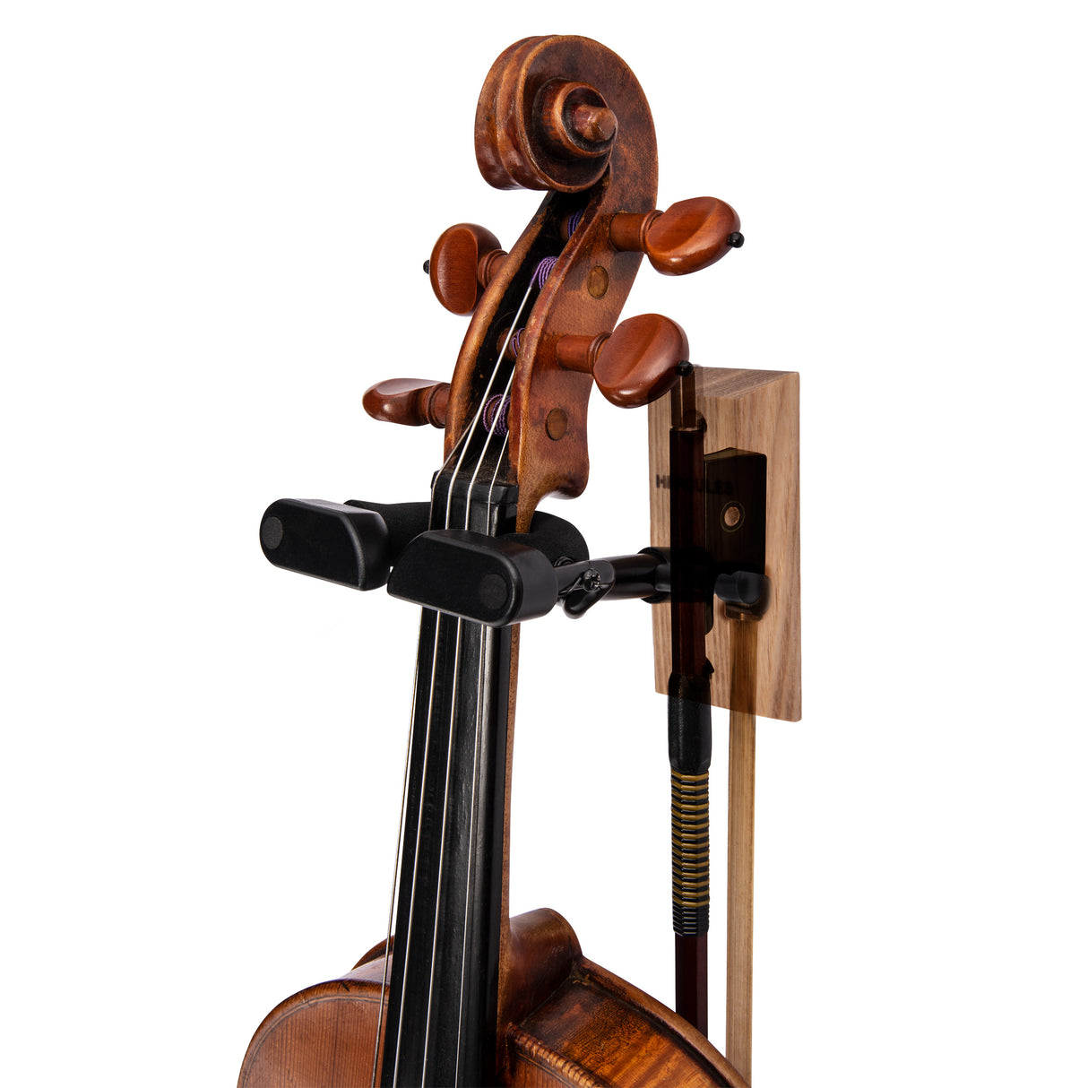 A violin resting in a black violin hanger on a white background